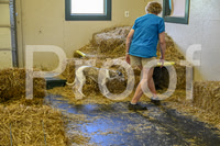 NBP_Barn hunt-250