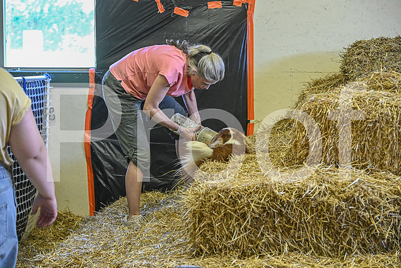 NBP_Barn hunt-345