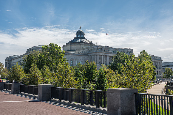 NBP_NW OR Fall-188