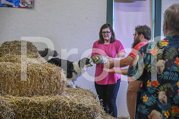 NBP_Barn hunt-352