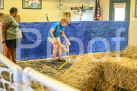 NBP_Barn hunt-249