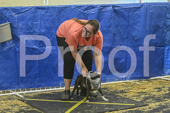 NBP_Barn hunt-472