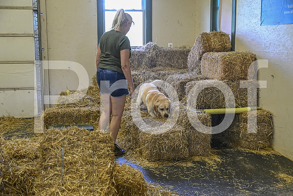 NBP_Barn hunt-400