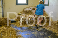 NBP_Barn hunt-251