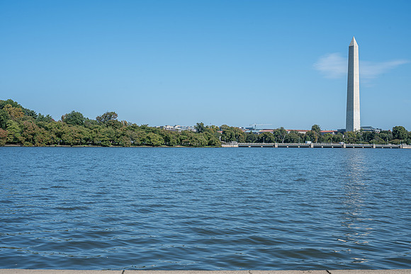 07_NBP FDR-12