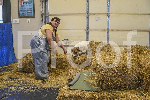 NBP_Barn hunt-238