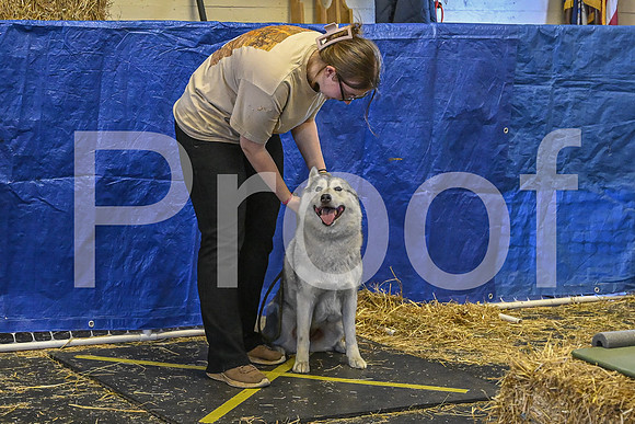 NBP_Barn hunt-145