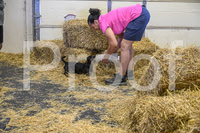 NBP_Barn hunt-261
