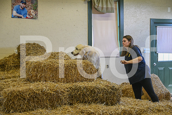 NBP_Barn hunt-362