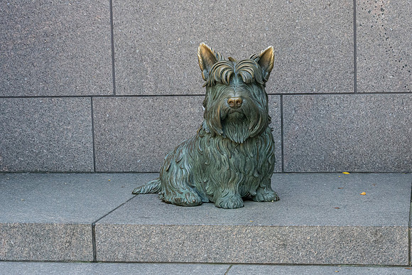 07_NBP FDR-17