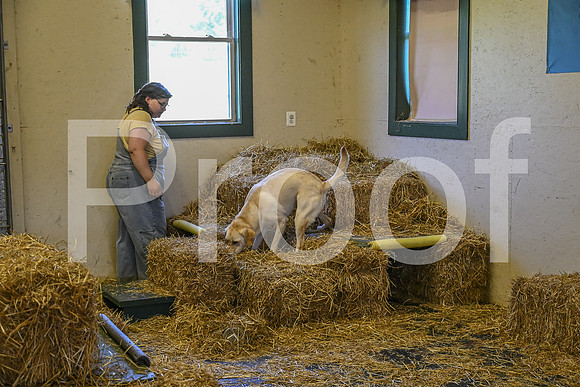 NBP_Barn hunt-193