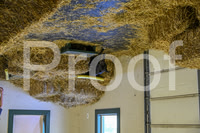 NBP_Barn hunt-245