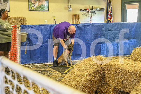 NBP_Barn hunt-300