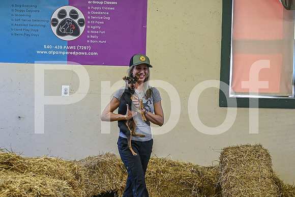 NBP_Barn hunt-99