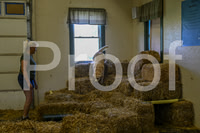 NBP_Barn hunt-404