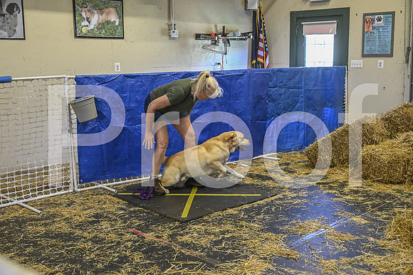NBP_Barn hunt-397