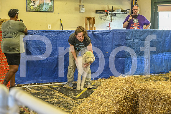 NBP_Barn hunt-276