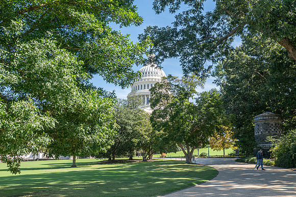 NBP_NW OR Fall-181