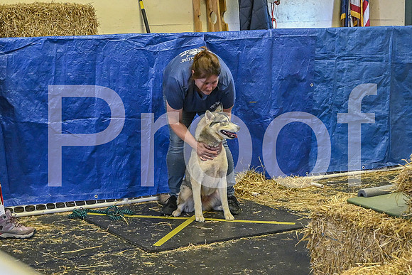 NBP_Barn hunt-128