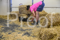NBP_Barn hunt-259