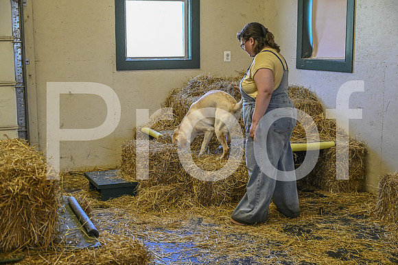 NBP_Barn hunt-188