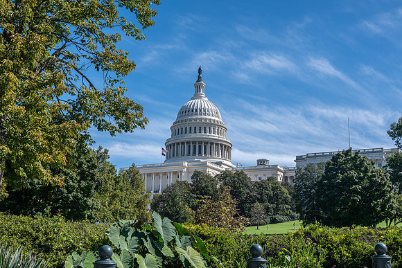 NBP_NW OR Fall-177