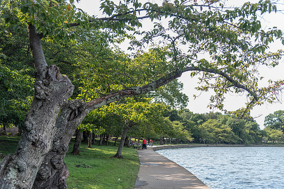 14 FDR-19