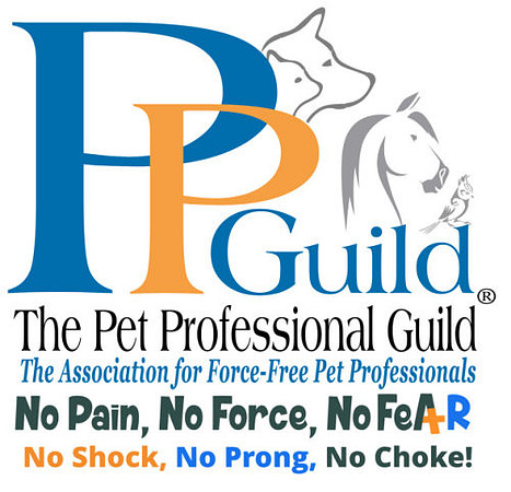 PPG Logo 61 KB