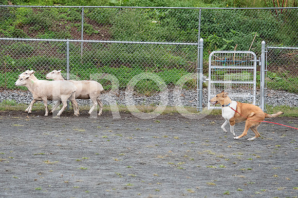 CCA_Instinct_Saturday-5