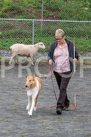 CCA_Instinct_Saturday-8