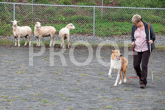 CCA_Instinct_Saturday-7