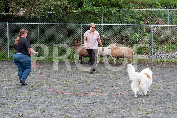 CCA_Instinct_Saturday-12
