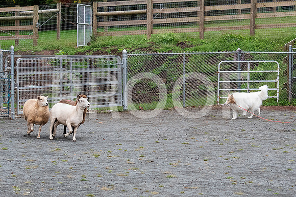 CCA_Instinct_Saturday-13