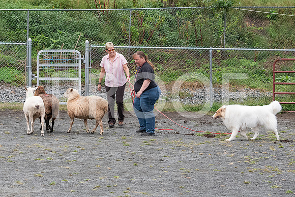 CCA_Instinct_Saturday-17