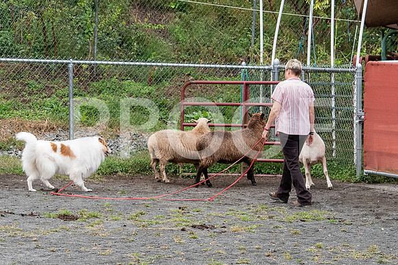 CCA_Instinct_Saturday-19