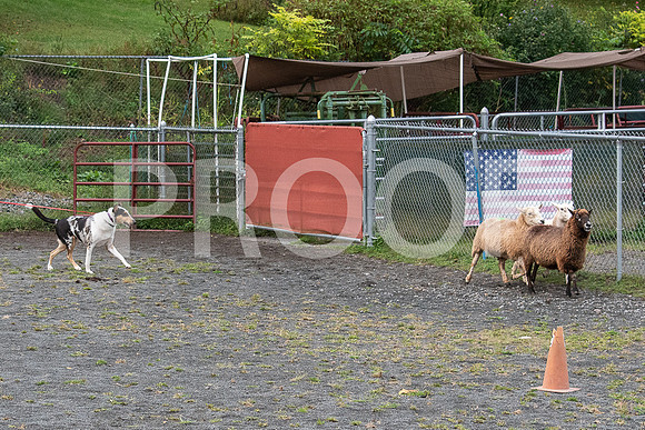 CCA_Instinct_Saturday-28