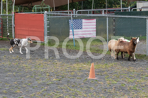 CCA_Instinct_Saturday-29