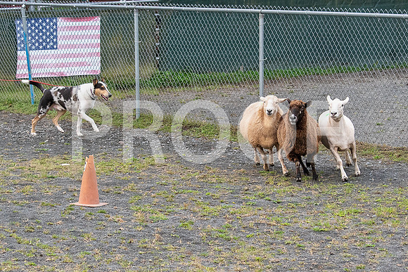 CCA_Instinct_Saturday-30