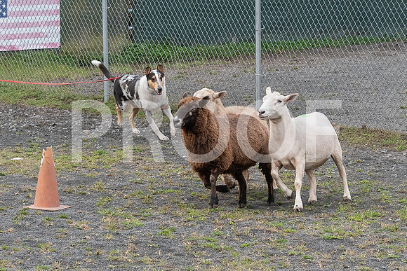 CCA_Instinct_Saturday-31