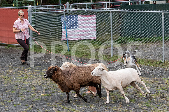 CCA_Instinct_Saturday-32