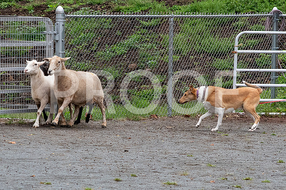 CCA_Instinct_Saturday-42