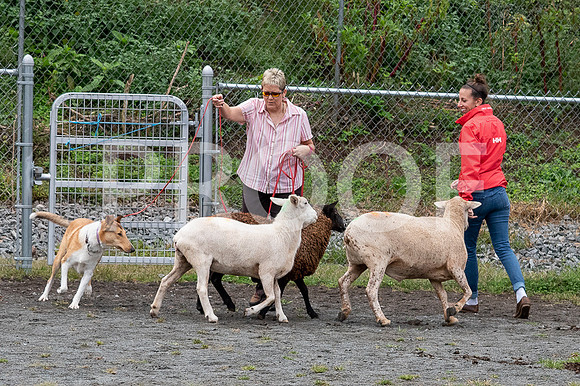 CCA_Instinct_Saturday-56