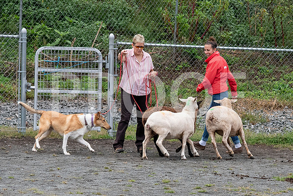 CCA_Instinct_Saturday-57
