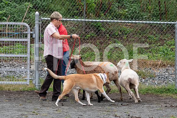 CCA_Instinct_Saturday-58