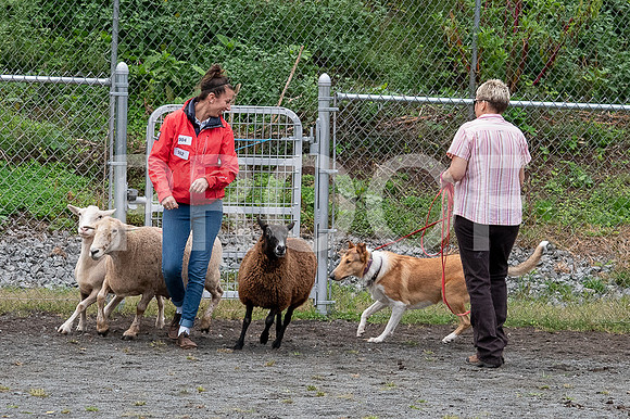 CCA_Instinct_Saturday-59