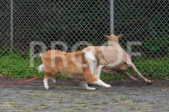 CCA_Instinct_Saturday-66