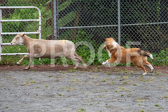 CCA_Instinct_Saturday-67