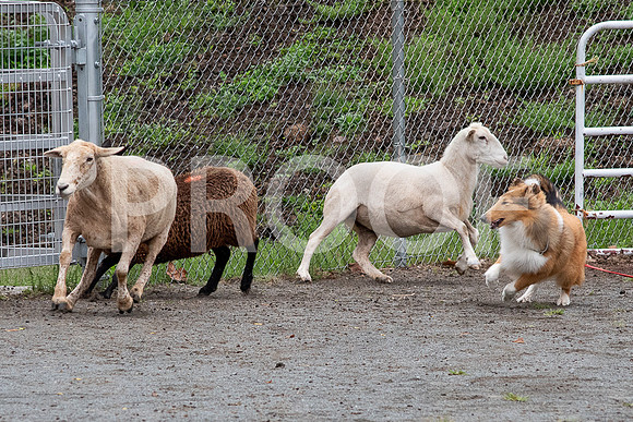 CCA_Instinct_Saturday-69
