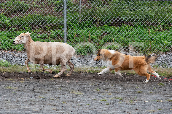 CCA_Instinct_Saturday-70