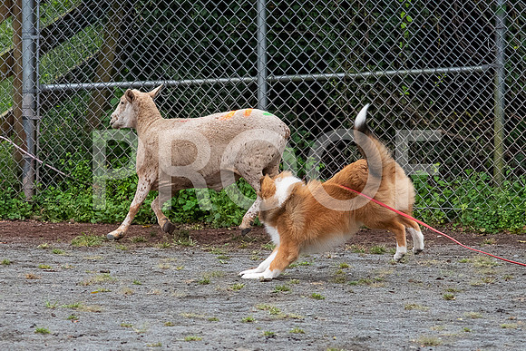 CCA_Instinct_Saturday-71